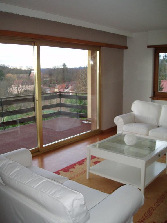 Villa Du Lion D'Or ラ・プティット・ピエール 部屋 写真